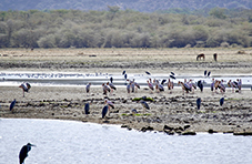 Lake Manyara